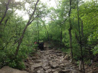 IMG_9233.JPG (238425 bytes)