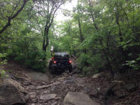 IMG_9239.JPG (228025 bytes)