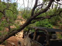 IMG_9352.JPG (229680 bytes)