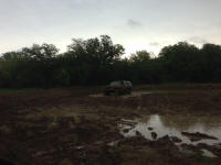 IMG_9680.JPG (479503 bytes)