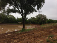 IMG_9695.JPG (901945 bytes)