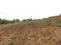 IMG_9698.JPG (597580 bytes)