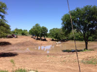 IMG_9763.JPG (974629 bytes)