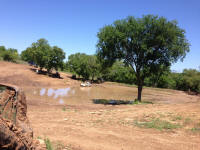 IMG_9764.JPG (1075910 bytes)