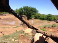 IMG_9768.JPG (475497 bytes)