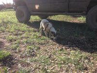 IMG_9826.JPG (1338567 bytes)