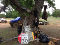 IMG_9871.JPG (775028 bytes)