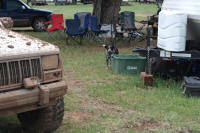 SAM_4048.JPG (205644 bytes)