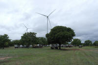 SAM_4057.JPG (119395 bytes)