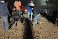 SAM_4257.JPG (199475 bytes)