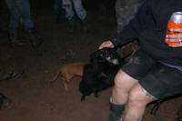 SAM_4264.JPG (93791 bytes)