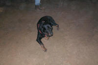 SAM_4268.JPG (108006 bytes)