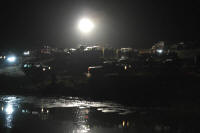 SAM_4302.JPG (72101 bytes)