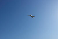 SAM_4358.JPG (27490 bytes)