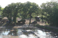 SAM_4368.JPG (253857 bytes)