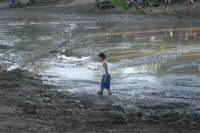 SAM_4410.JPG (218732 bytes)