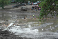 SAM_4437.JPG (216125 bytes)