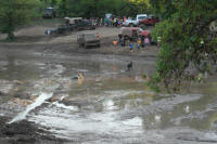 SAM_4439.JPG (186822 bytes)