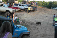 SAM_4449.JPG (197372 bytes)