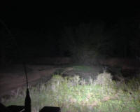 Bryson_Work_Weekend001.JPG (71439 bytes)