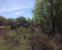 Bryson_Work_Weekend032.JPG (201296 bytes)