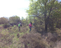 Bryson_Work_Weekend033.JPG (241600 bytes)