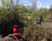 Bryson_Work_Weekend034.JPG (273988 bytes)