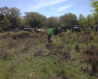 Bryson_Work_Weekend035.JPG (216571 bytes)