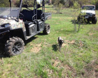 Bryson_Work_Weekend040.JPG (317355 bytes)