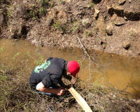 Bryson_Work_Weekend043.JPG (328673 bytes)