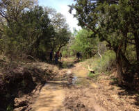 Bryson_Work_Weekend044.JPG (275790 bytes)