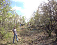 Bryson_Work_Weekend065.JPG (305585 bytes)