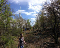 Bryson_Work_Weekend066.JPG (282302 bytes)