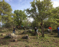 Bryson_Work_Weekend079.JPG (307428 bytes)