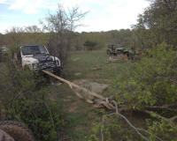 Bryson_Work_Weekend081.JPG (180309 bytes)