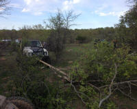 Bryson_Work_Weekend082.JPG (181915 bytes)