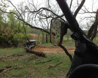 Bryson_Work_Weekend097.JPG (200214 bytes)