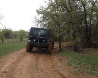 Bryson_Work_Weekend111.JPG (190284 bytes)