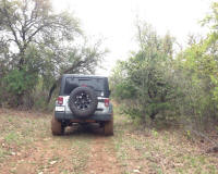 Bryson_Work_Weekend122.JPG (245963 bytes)