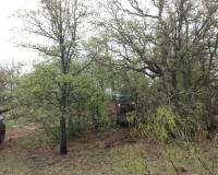 Bryson_Work_Weekend142.JPG (310905 bytes)