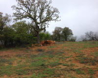 Bryson_Work_Weekend162.JPG (204555 bytes)