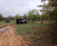 Bryson_Work_Weekend172.JPG (197648 bytes)