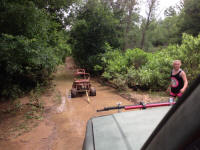 IMG_0513.JPG (220506 bytes)