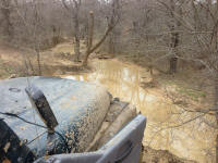 IMG_2385.jpg (556291 bytes)