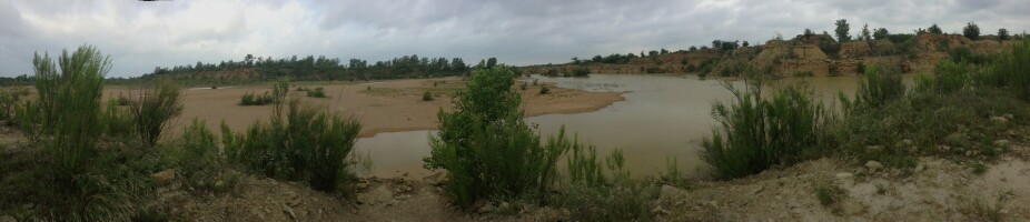 IMG_3996.JPG (648174 bytes)