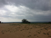 IMG_4013.jpg (224954 bytes)