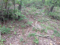 IMG_4065.jpg (589614 bytes)