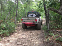 IMG_4076.jpg (498567 bytes)