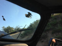 IMG_4585.JPG (1711223 bytes)