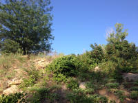 IMG_4599.JPG (4148880 bytes)